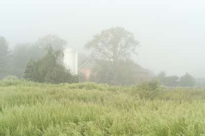 Foggy Farm by Erik