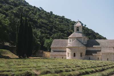 No More Lavender by Jens