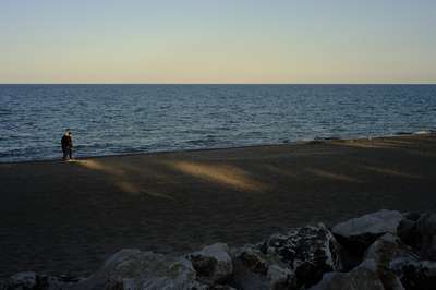 Morning Walk by Erik