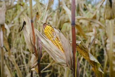 Fall In America by Erik