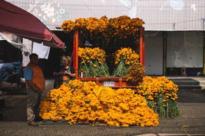 El CempasúChil by Jens