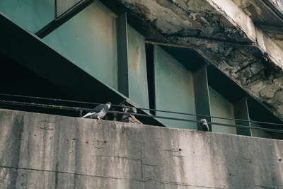 Under The Bridge by Jens