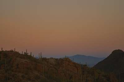 Desert Sunset by Erik