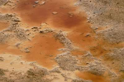 Vibrant Sludge by Erik