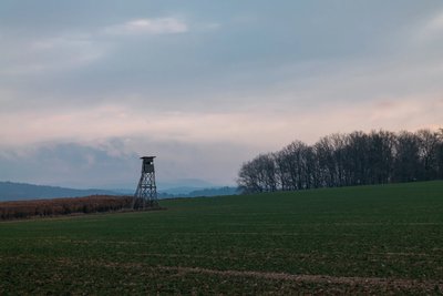 Cabin On Stilts by Jens