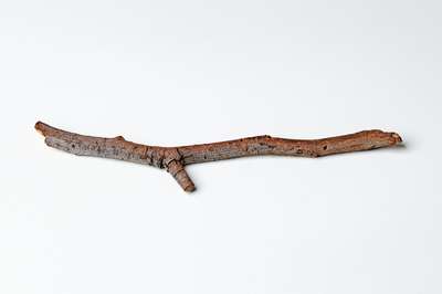 Eva's Collection # 1 by Jens