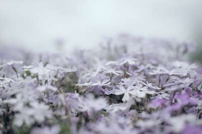 Infinite Spring by Erik