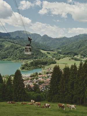 Landscapes