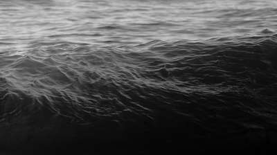 Black & White