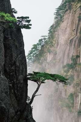 Huangshan Steep by Jens