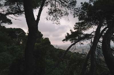 Landscapes